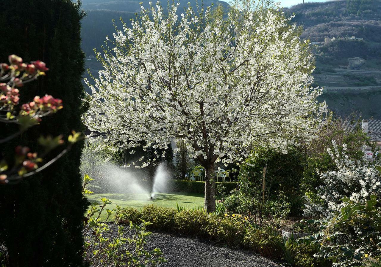 Villa De Maitre Martigny Exteriér fotografie